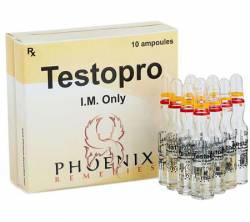 Testopro 100 mg (1 vial)