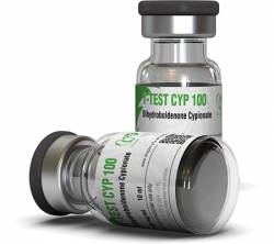 1-Test Cyp 100 mg (1 vial)