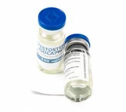 Testosterone Isocaproate 100 mg (1 vial)